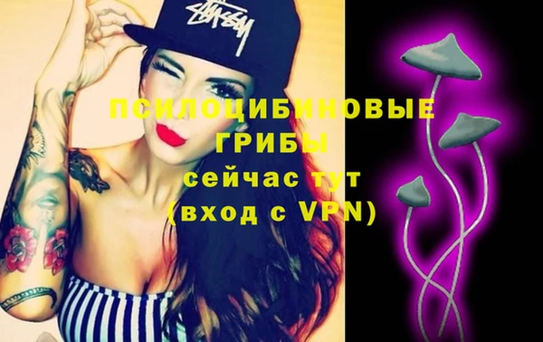 дживик Бугульма