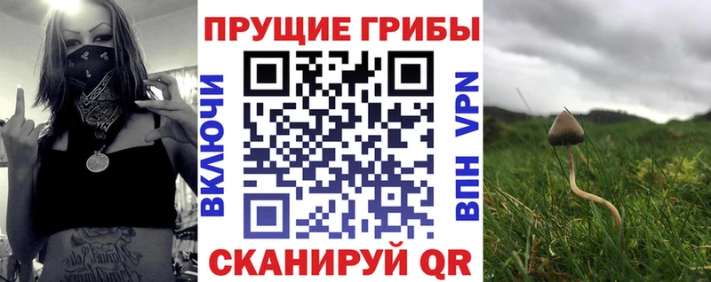 Псилоцибиновые грибы MAGIC MUSHROOMS  Саранск 